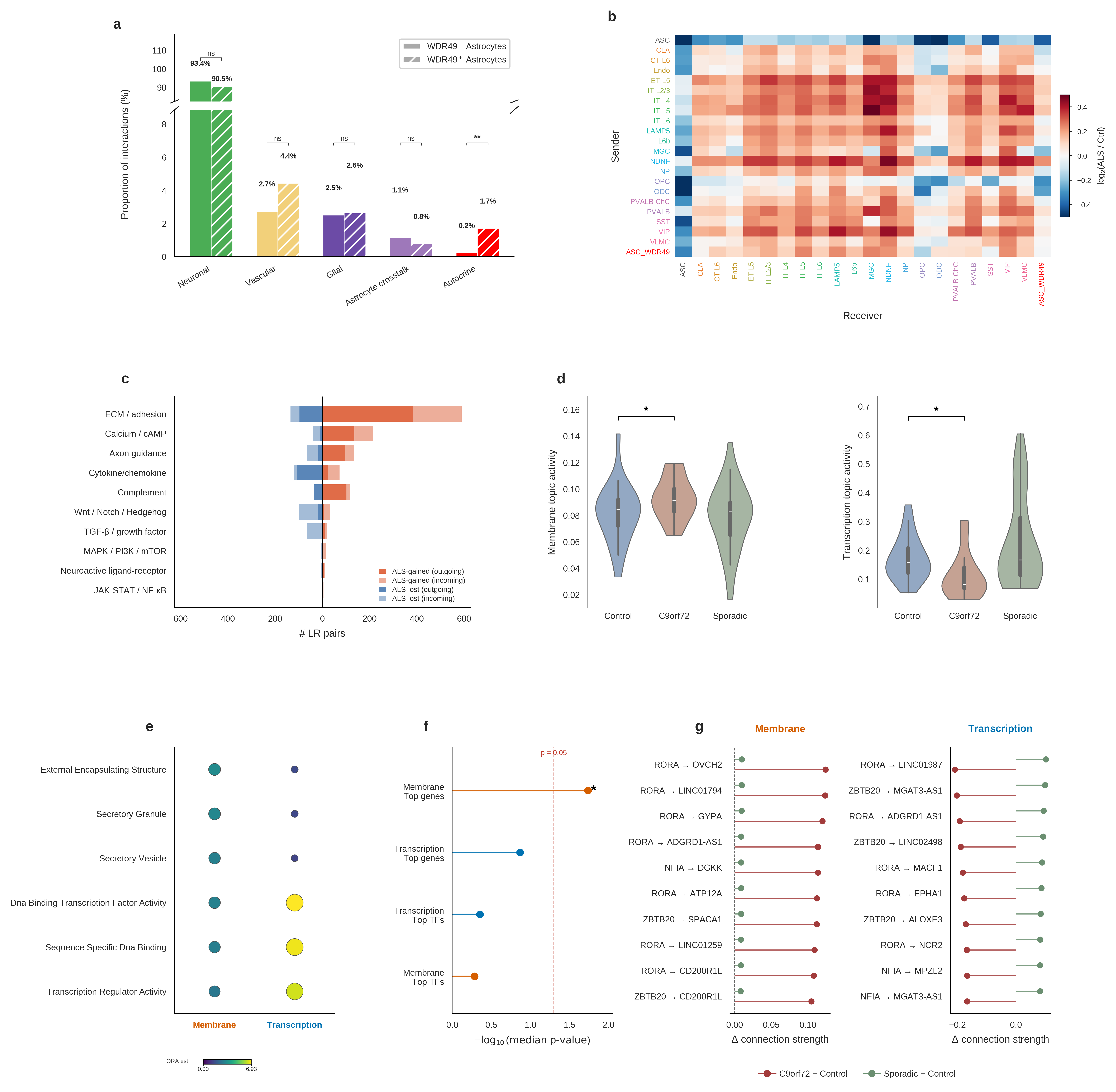 WDR49+ astrocyte GRN and cell-cell communication